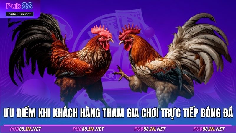 Ưu điểm khi khách hàng tham gia chơi trực tiếp bóng đá